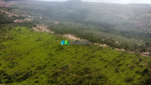 FAZENDA À VENDA - 75 HECTARES - ABAETÉ (MG)