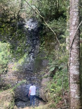 Sítio 25 hectares - com cachoeira e riacho. 36X