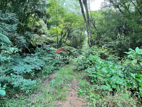 Lote em Rua 19 - Alpes - São Francisco de Paula/RS