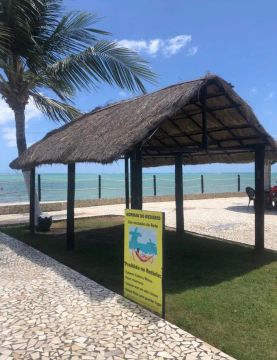 Chalé beira mar em Maragogi/peroba 