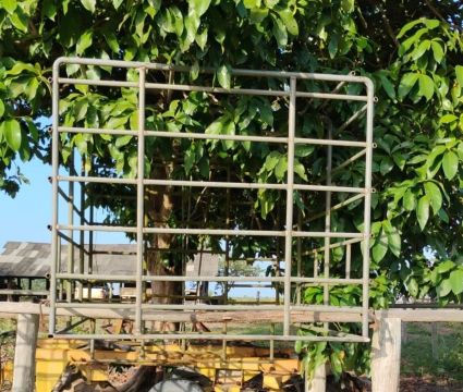 Gaiolas para Transporte de Animais e caixa dgua