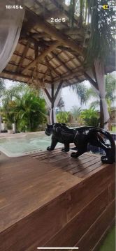 Escultura de jaguar 