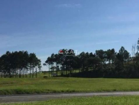 ÁREA PARA LOCAÇÃO NA ZONA INDUSTRIAL - SOROCABA/SP