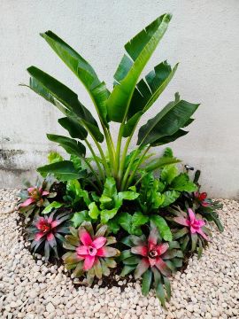 Serviço de jardinagem 