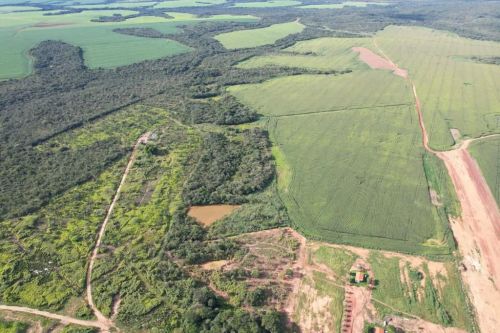 Fazenda Arrendamento 7 mil hect sta. Rita do Trivelato + equipamentos 15 SC. /Hect