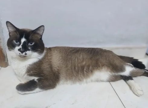 Doação 