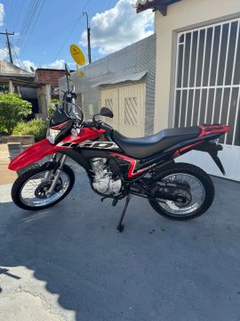 Honda bros 