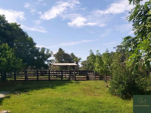 Fazenda Pocone