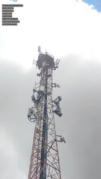 Vaga de trabalho 