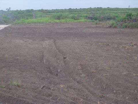 Fazenda de arrendamento 3.100hect em nova canaã do norte, MT. 10 sacas soja por hect.