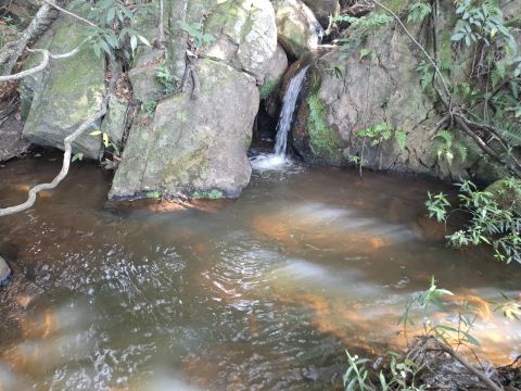 Terreno em Piracema com 5,9 hectares