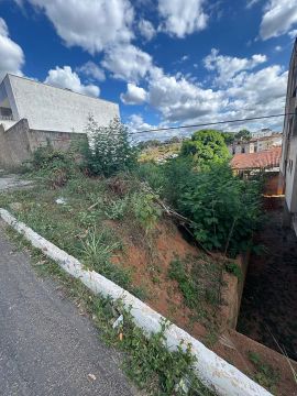 Lote - Avenida Minas Gerais