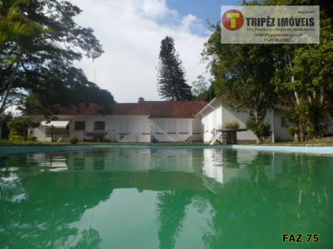 ML FAZENDAS Fazenda em Arapei / SP com 121 alqs  (FAZ 75)