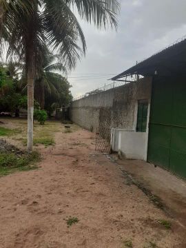 Granja para vender