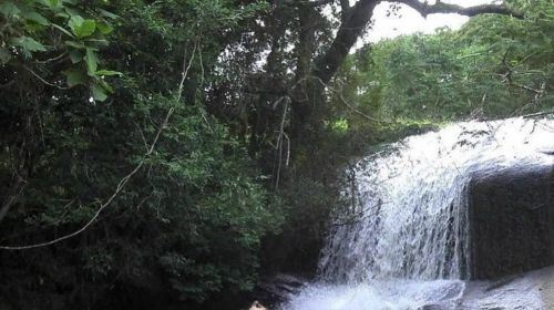 Imóvel para venda possui 605000 metros quadrados com 5 quartos
