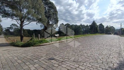 Lote/Terreno em SAO CIRO