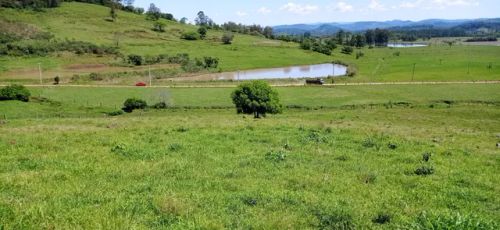 Chácara 2 hectares um luxo de lugar, tem um córrego 