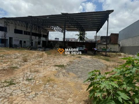 Excelente Galpão para Investimento,