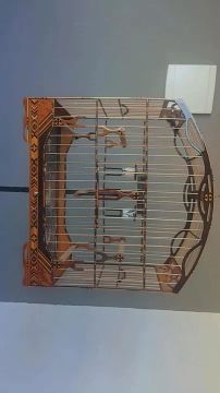 Gaiola para pássaros
