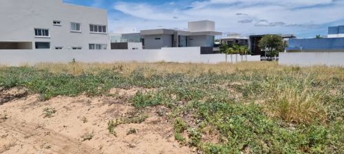 LOTE ALPHAVILLE - NASCENTE - LOTES CONJUGADOS