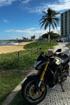 Honda CB 600F Hornet 