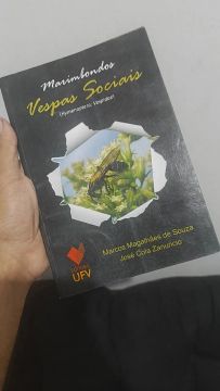 Vespas sociais 79 páginas