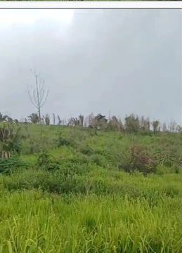 Vende sitio em Colniza MT 10 alquiros e meio linha g1 16 km 