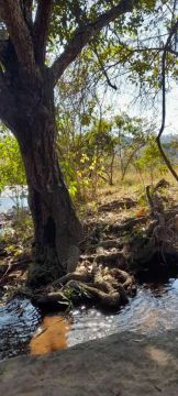 Lote/Terreno para venda tem 1200 metros quadrados em Centro - Itaúna - Minas Gerais