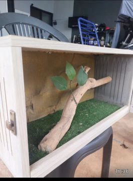 Terrário para Répteis com instalação elétrica 