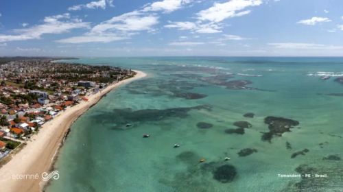 Tamandaré Studios lançamento 22 metros quadrados com 1 quarto em TAMANDARE I - Tamandaré -