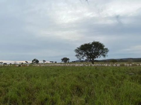 Oportunidade Imperdível  Fazenda à Venda em Guiratinga/MT