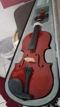 Violino Vermelho em Estojo