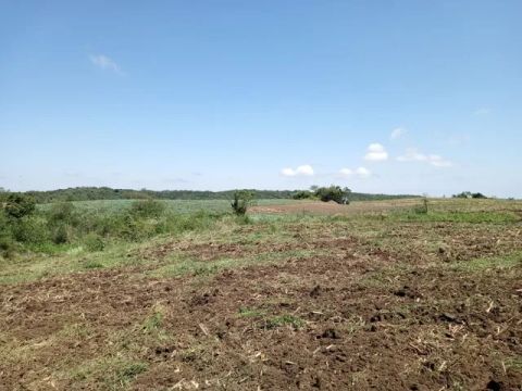 Sítio de três hectares pertinho de Gramado 
