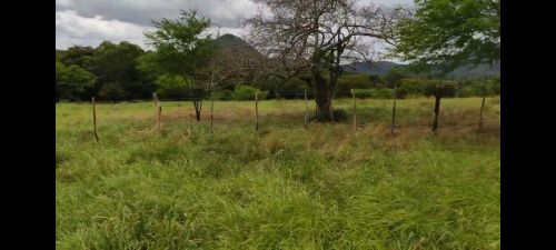 Fazenda cercadinho , 113 tarefas, com excelente estrutura, georreferenciada.