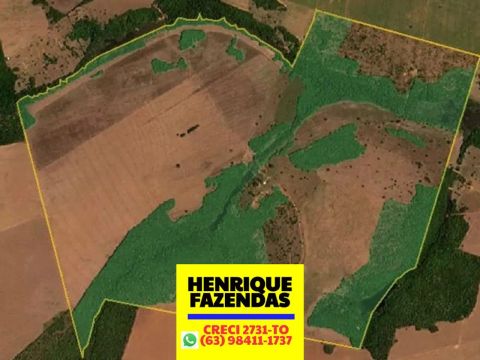 Imóvel rural plantando para plano de barro a terra região sul do Tocantins