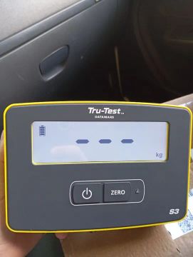 Visor s3 Tru-Test 