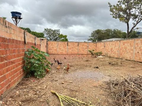Vendo lote murado zumbi dos Palmares 