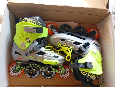Patins Novo N° 36