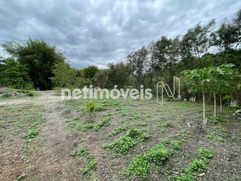 Venda Chácara Tavares de Minas Pará de Minas