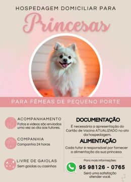 Hospedagem Domiciliar para cães Fêmeas.
