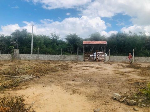 Vendo Terreno nos Índios (Jacobina)
