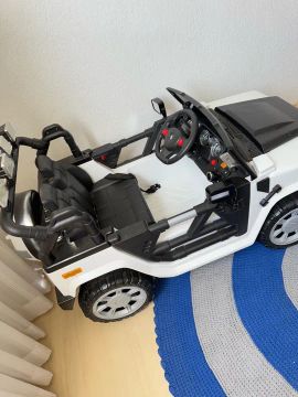 Carrinho eletrônico nepotismo 12 V