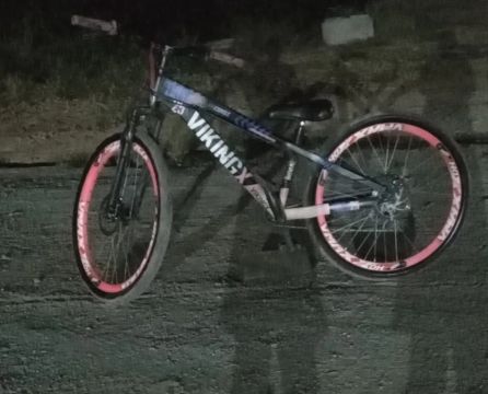 Bicicleta vikingx 