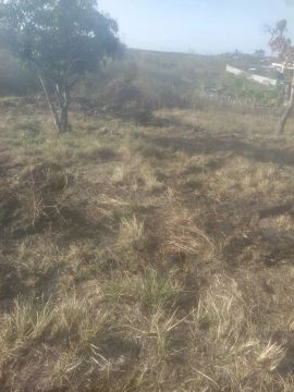 Terreno no Guajara 