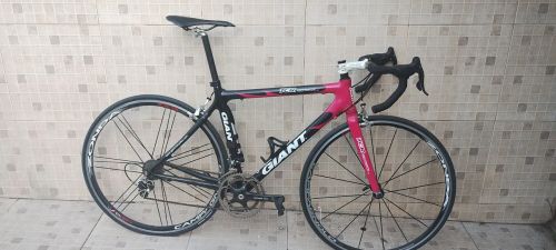 Speed Giant carbono 