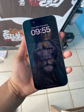 iPhone 14 Pro Max 128gb (86%) bateria.
