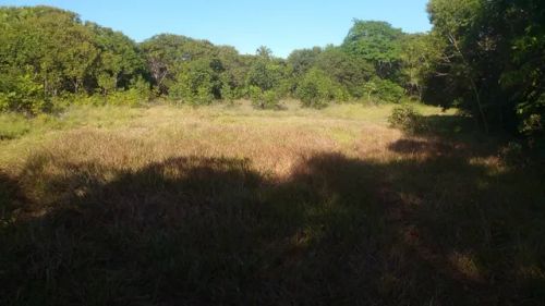 Vendo - Linda Área - Costa do sauípe - Localização