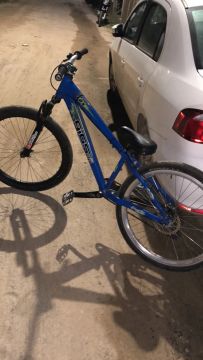 Gios quadro edição limitada