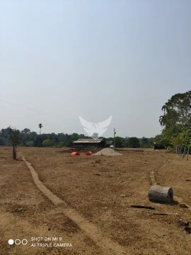 FAZENDA 1.182 hectares, Excelente área para PLANO DE MANEJO OU RESERVA LEGAL.