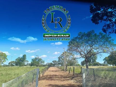 Chácara de 5 alqueires Próximo a Paraiso do Tocantins